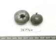Click for 1 image(s) for this accession. FRUIT